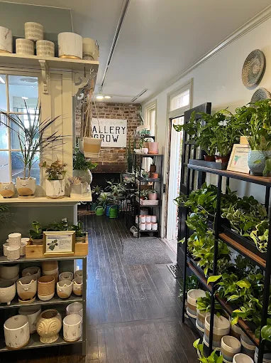 Gallery Grow Plant Bar