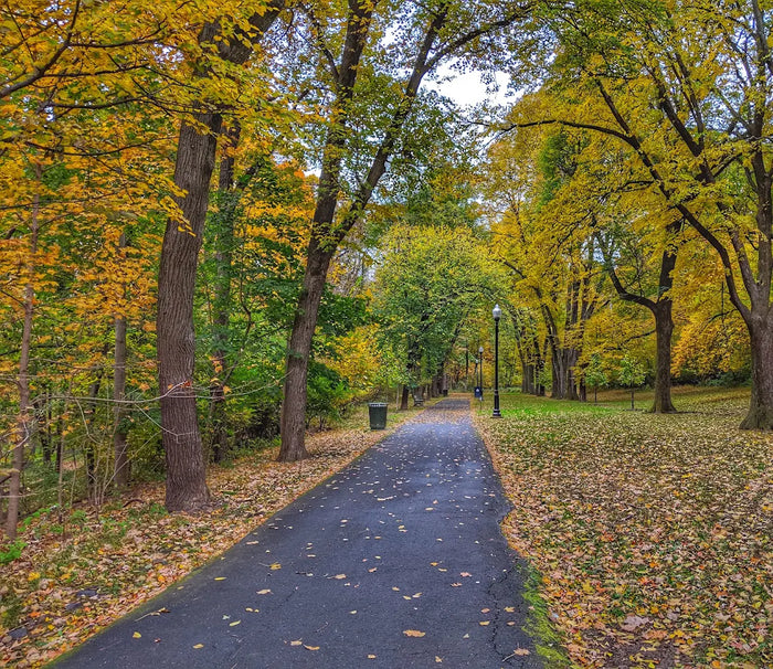 Grover Cleveland Park