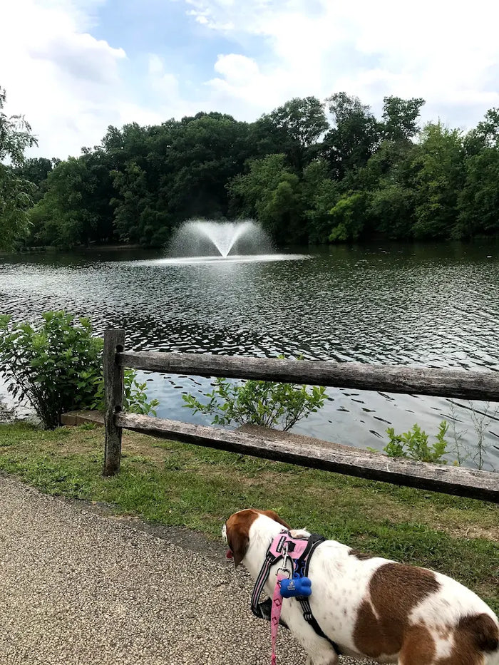 Haddon Lake Park