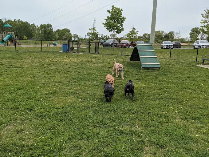 Half-Acre Park & Dog Park