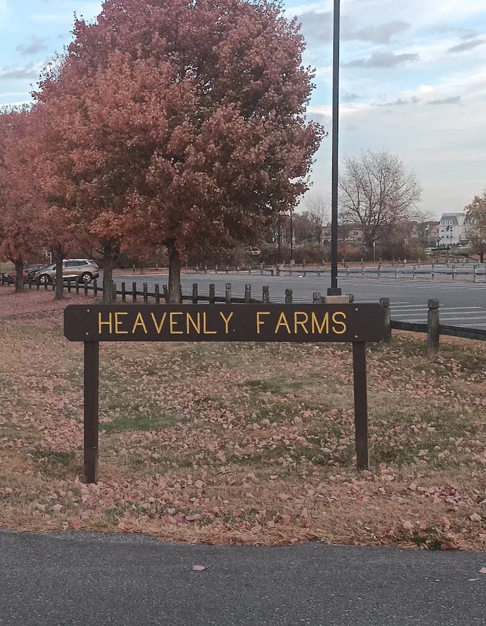 Heavenly Farms Park & Dog Park