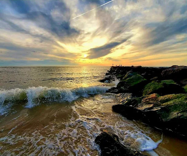 Higbee Beach Wildlife Management Area