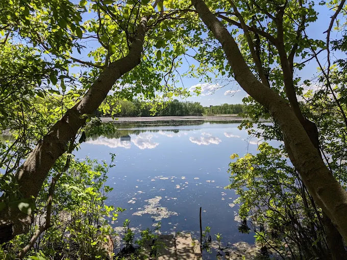 Jamesburg Park Conservation Area