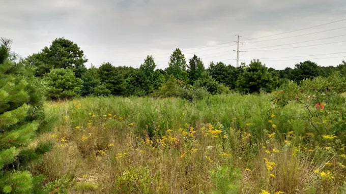 Julian L. Capik Nature Preserve & Dog Park