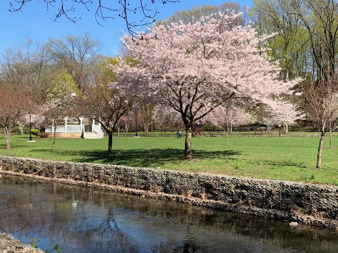 Kingsland Park