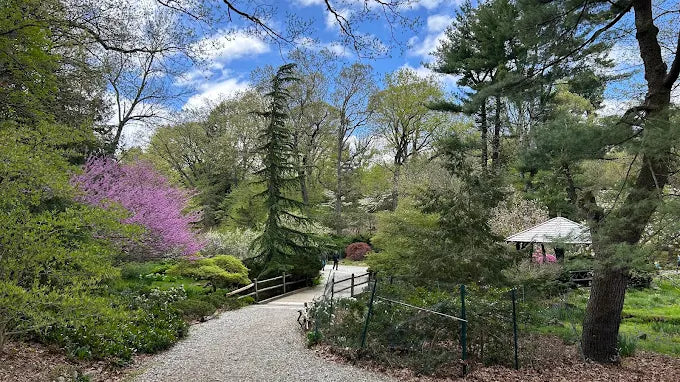 Laurelwood Arboretum