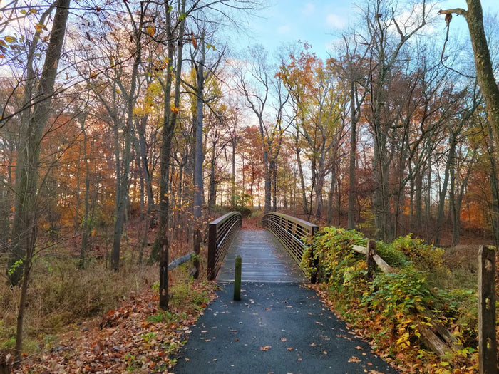 Lenape Park
