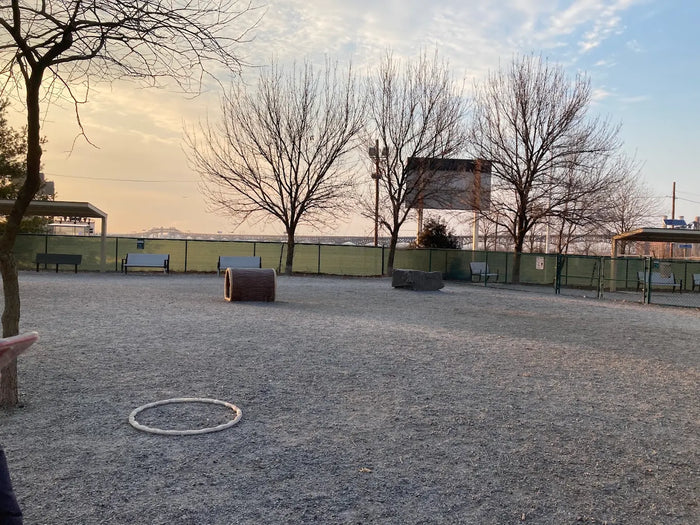 Lincoln Park & Dog Run