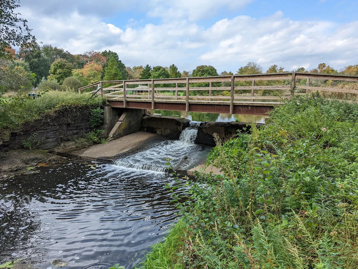 Loantaka Brook Reservation