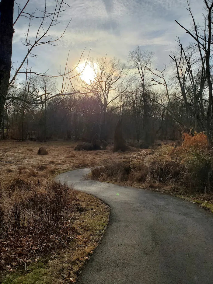 Michael J. Tighe Park