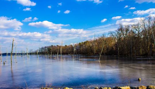 Manasquan Reservoir