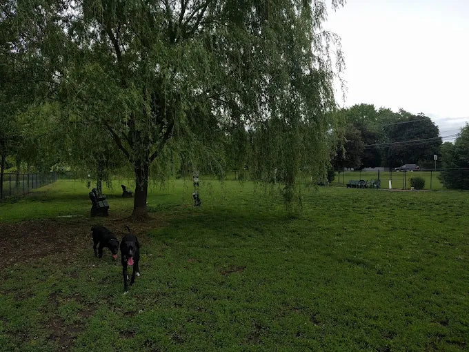 Marlboro Dog Park