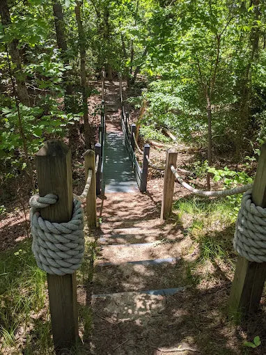 Maurice River Bluffs Preserve