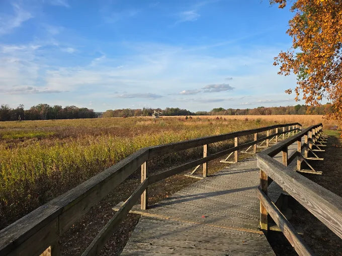Mercer Meadows 