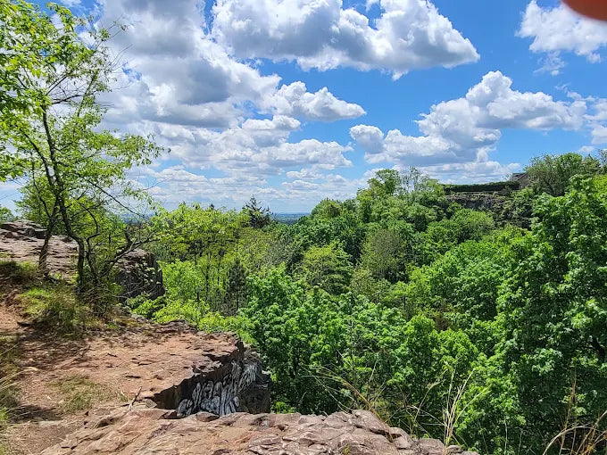 Mills Reservation