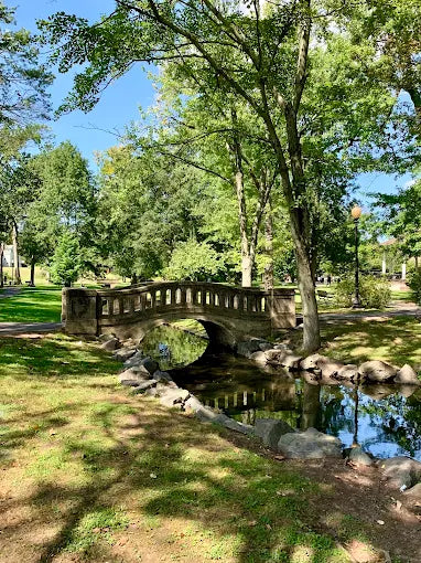 Mindowaskin Park
