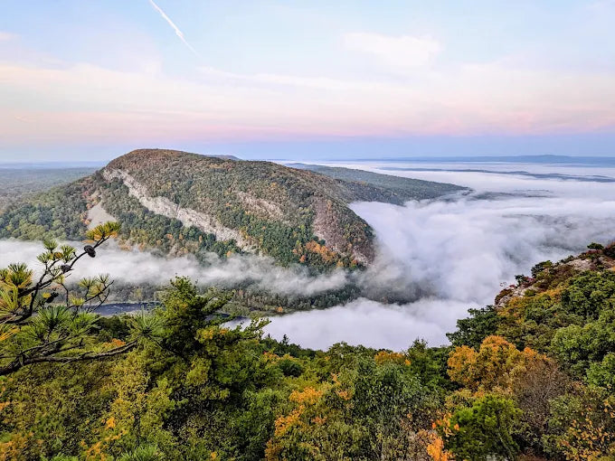 Mount Tammany Trail