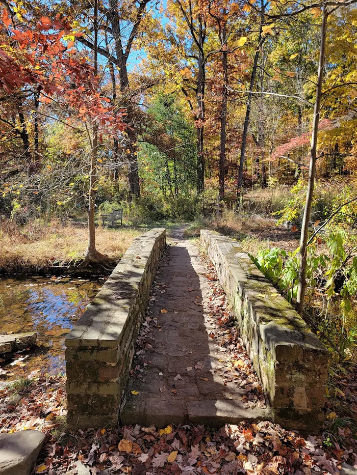 Mountain Lakes Nature Preserve