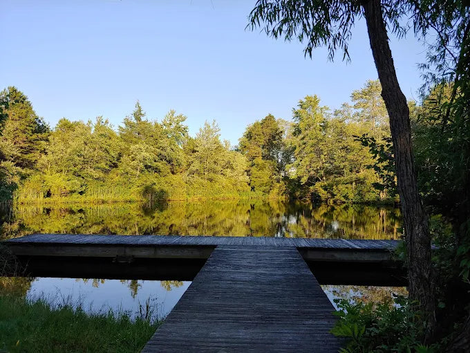 New Brooklyn Park