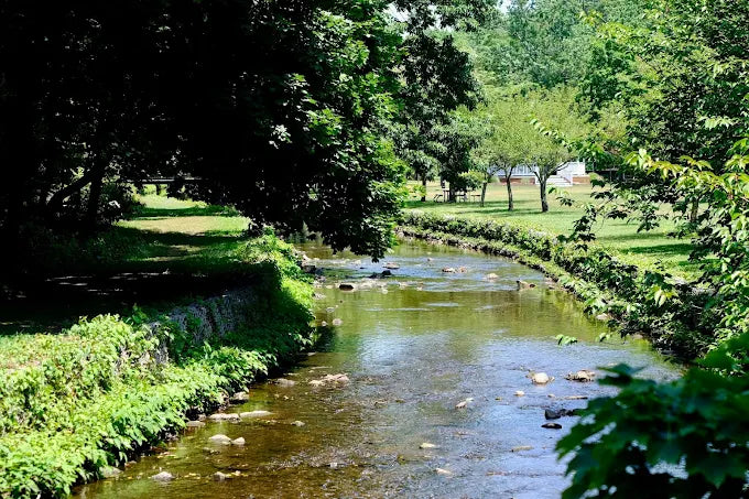 Nichols Park