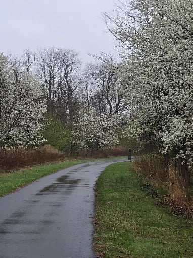 North Brunswick Community Park & Dog Park