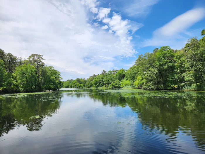 Parvin State Park