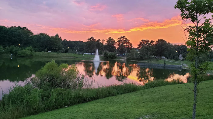 Patriot Lake Park & Dog Park