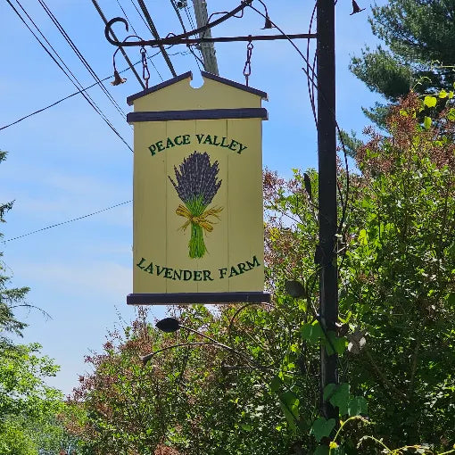 Peace Valley Lavender Farm