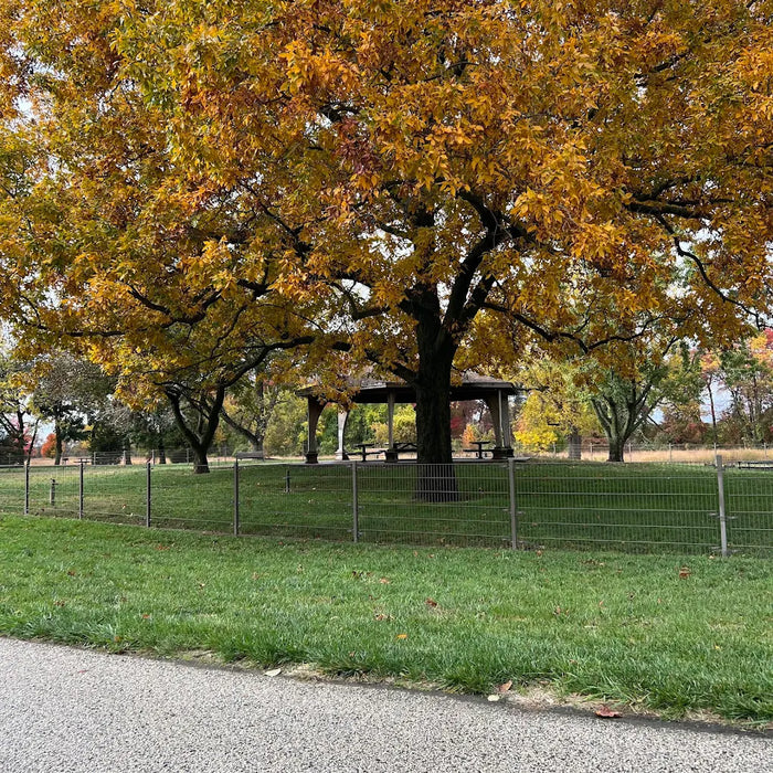 Pennington Park & Dog Park
