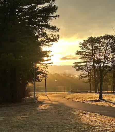 John A. Phillips Park