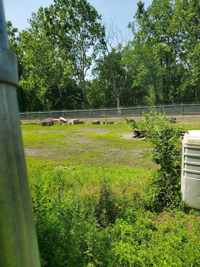 Phillipsburg Dog Park