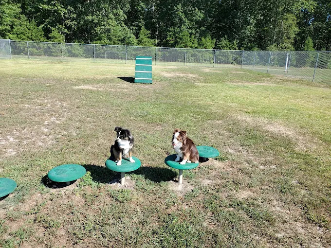 Ptlm. Daniel Calabrese Memorial Park & Dog Park