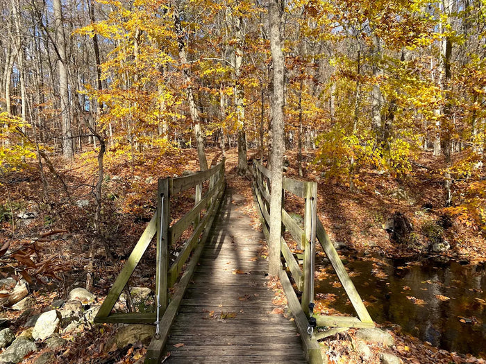 Pyramid Mountain Natural Historic Area