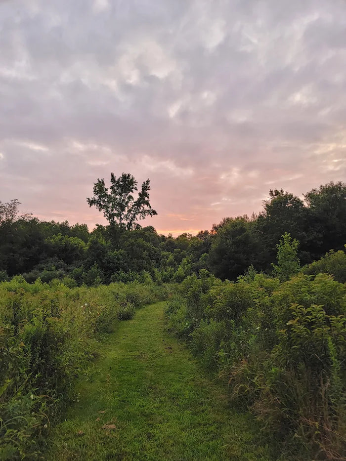 Rancocas State Park