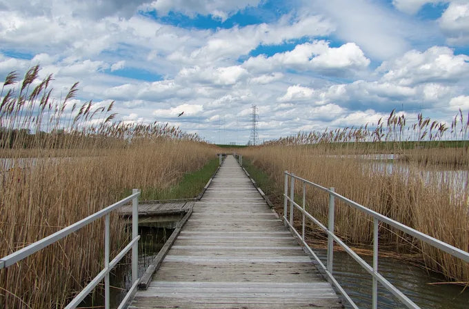 Richard W. DeKorte Park