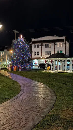Riley Park
