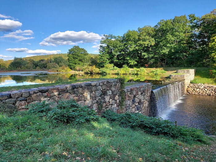 Ringwood State Park