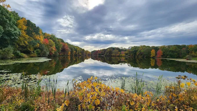 Rockefeller State Park Preserve
