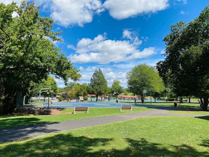 Roosevelt Park