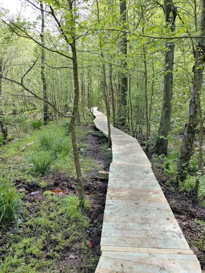 Roosevelt Woodland Trail