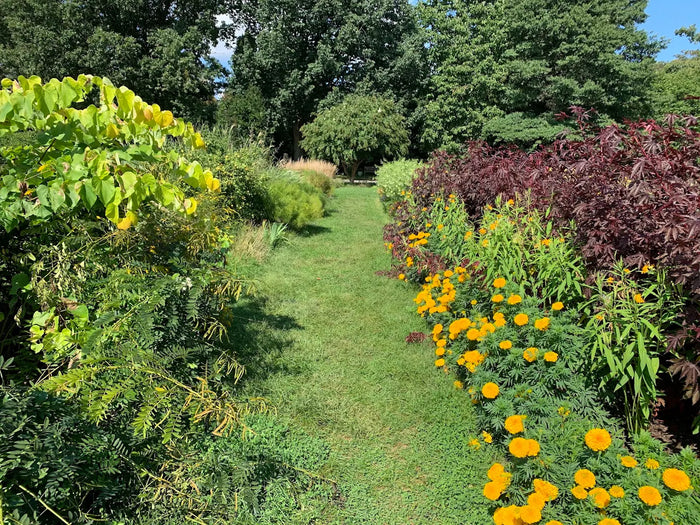 Rutgers Gardens