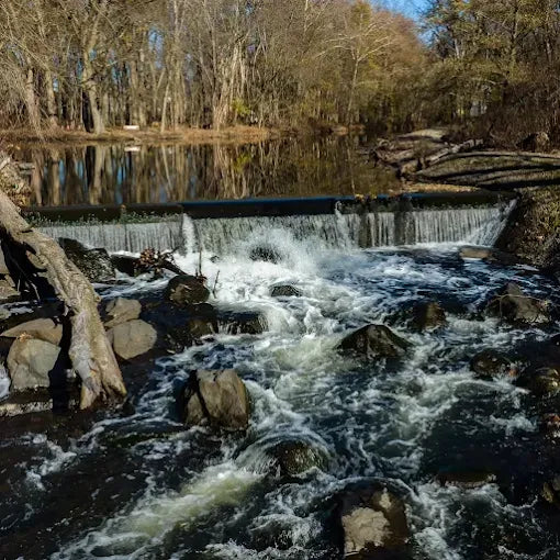 Saddle River County Park