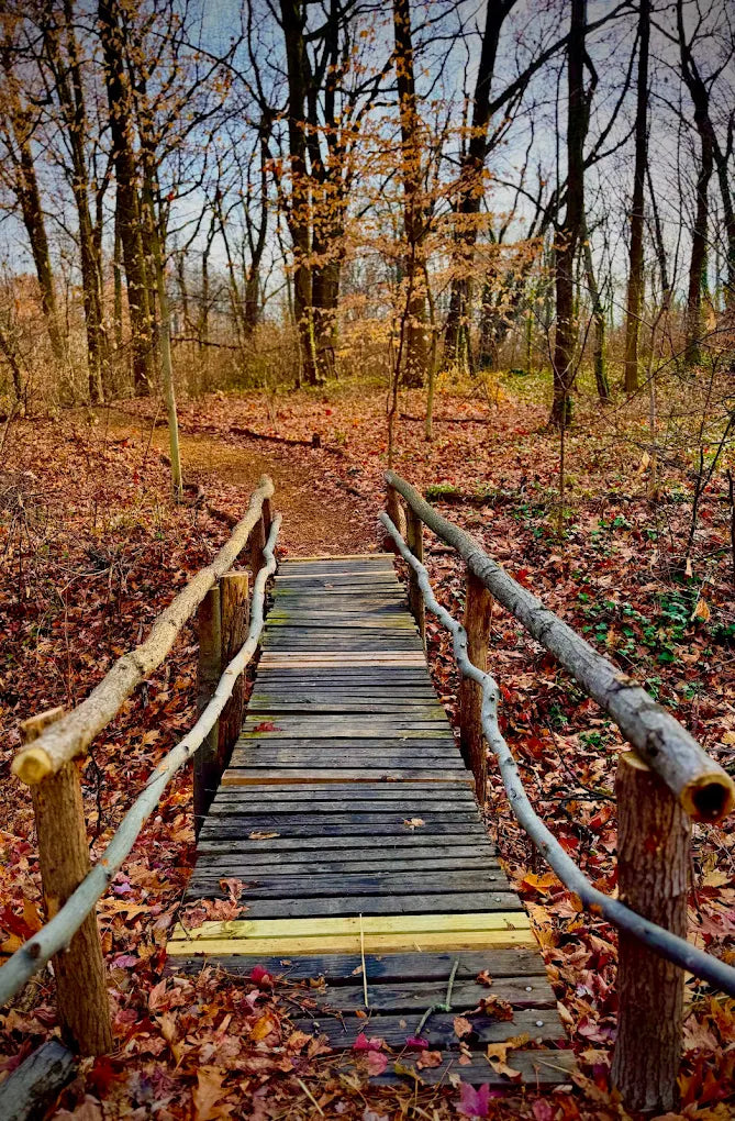 Saddler's Woods