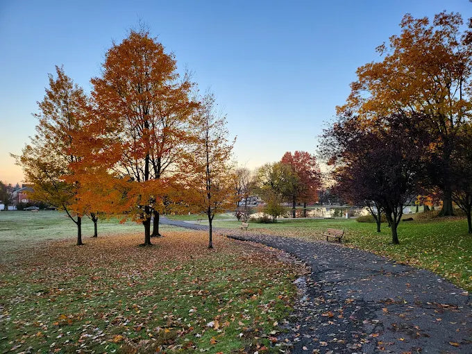 Samuel Nelkin County Park & Dog Park