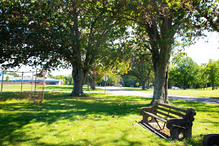 Skillman Park & Dog Park