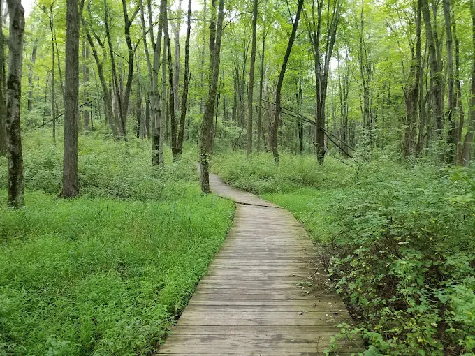 Sourland Mountain Preserve