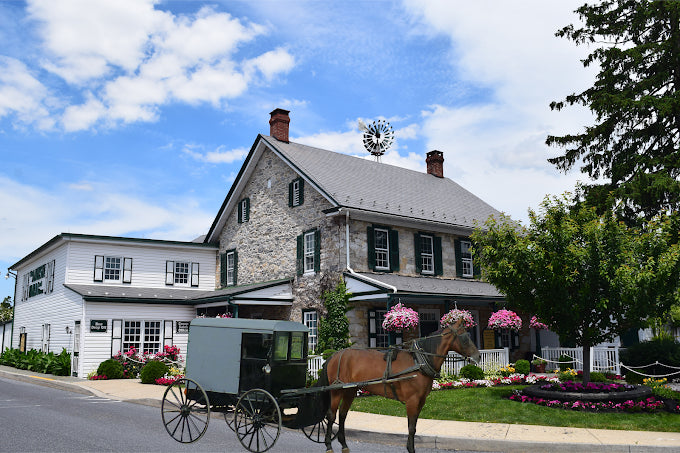 The Amish Farm and House