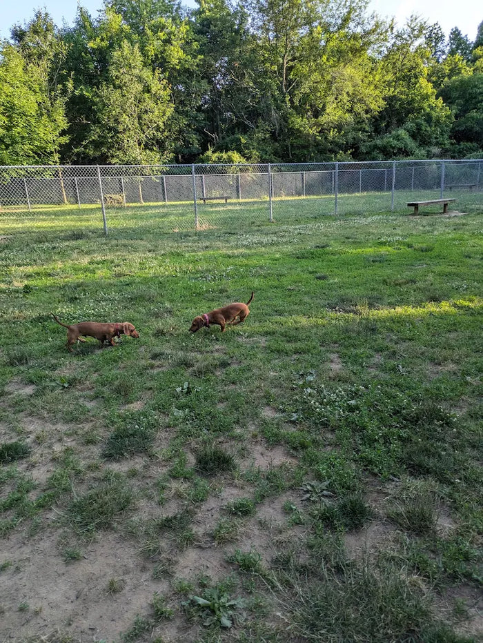 Thompson Grove Park