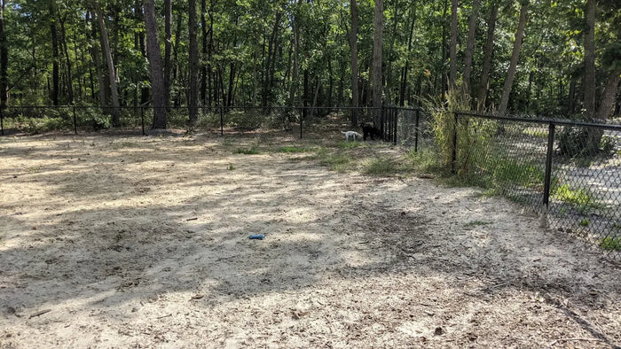 Waretown Dog Park