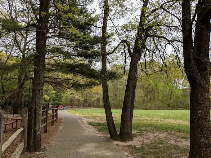 Allocco Park
